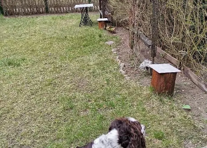 Pod Swierkami Σπίτι διακοπών Male Swornegacie